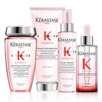 Kerastase hair care products wholesale