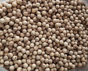 Wholesale white pepper