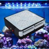 LED Aquarium Light 144W