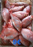 Sell fresh and frozen fish