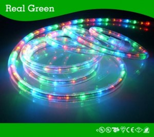 2-Wire Standard Multi RYGB LED Rope Light