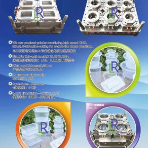 Longrange mould Manufactory Custom Plastic Injection Thinwall Mould +8613757687793