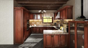 U SHAPED KITCHEN CABINET DESIGN