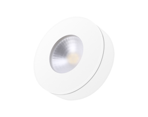 Smart LED Light