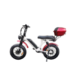 Dual Motor Fat Tire Electric Bike