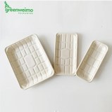 High Quality Biodegradable Food Trays