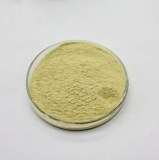 Ginseng Extract