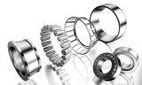 Tapered Roller Bearings