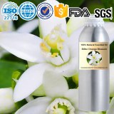 Factory wholesale Bitter Orange Blossom (Citrus aurantium) Essential Oil 100%Natural aroma