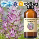 Factory wholesale Clary Sage Essential Oil- Salvia sclarea 100%Natural