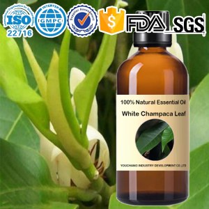 Magnolia Leaf Essential Oil 100%Natural