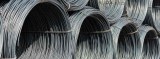 Stainless Steel Wire Rod