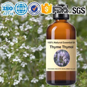 Factory wholesale Thymol Thyme Essential Oil 100%Natural