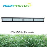 Waterproof 200w 4ft Top LED grow light for hydroponic horticultural lighting projects