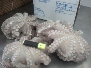 Octopus, sardin and other frozen seafood
