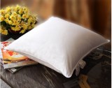 Cheap Wholesale Washed white/grey goose/duck feather/down cushion