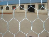 Hexagonal wire netting(Chicken wire)