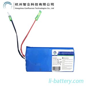 21.6V 2.6Ah Lithium Ion Battery for Electric Scooter (Glow)