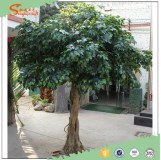 Songtao fiberglass fake artificial oak bonsai tree for indoor and outdoor deocr