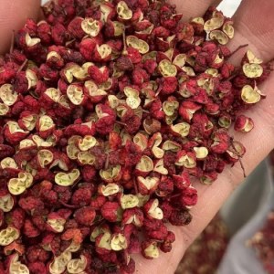 Authentic Red & Green Sichuan Pepper PGI – All Grades & Custom Packaging