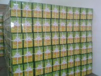 Supply Chinese green tea