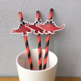 Party Paper Straws