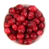 Freeze Dried Cranberries Bulk & Wholesale