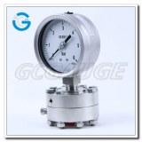 4 Inch Flush Diaphragm Seal Pressure Gauges