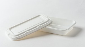 Disposable Tray