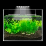 LED Aquarium Lights