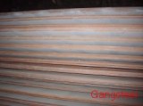 Supply BV/A, BV/B, BV/D, BV/E steel plate