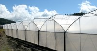 50mesh Greenhouse Insect Netting