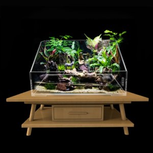 Acrylic Turtle Fish Tank for Aquatic Pets