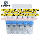 Palmitoyl Hexapeptide/Lipopeptide