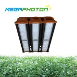 Megaphoton 300w Top LED grow light for greenhouse horticultural lighting projects
