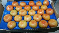 Tomatoes origin Morocco.