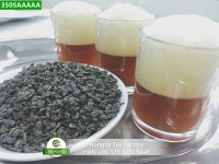 Gunpowder 3505AAAAA Usine de thé vert de Chine