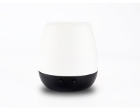 Mona-Portable Wooden Base White Electric Ultrasonic Diffuser With Light