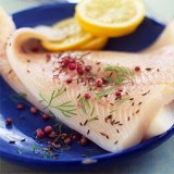 FROZEN FISH FILLETS & SEAFOOD WHOLESALE