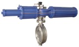 Control Butterfly Valves