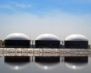 DOUBLE MEMBRANE BIOGAS HOLDER