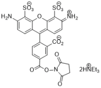 APDye 488 NHS ester (Alexa Fluor® 488 NHS equivalent)