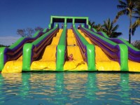 High quality PVC inflatable long slide giant inflatable water slide for adult