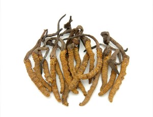 Organic Cordyceps Powder