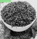 41022AAAAAA export en vrac usine de thé vert de Chine