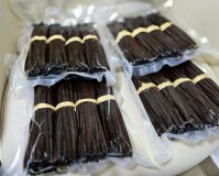 Madagascar vanilla beans