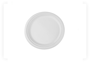DISPOSABLE FOOD PLATE
