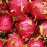 Freeze Dried Dragon Fruit Bulk & Wholesale