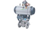 Control Plug Valves