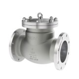 Hastelloy Check Valves